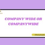Company-Wide or Companywide