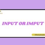 Input or Imput
